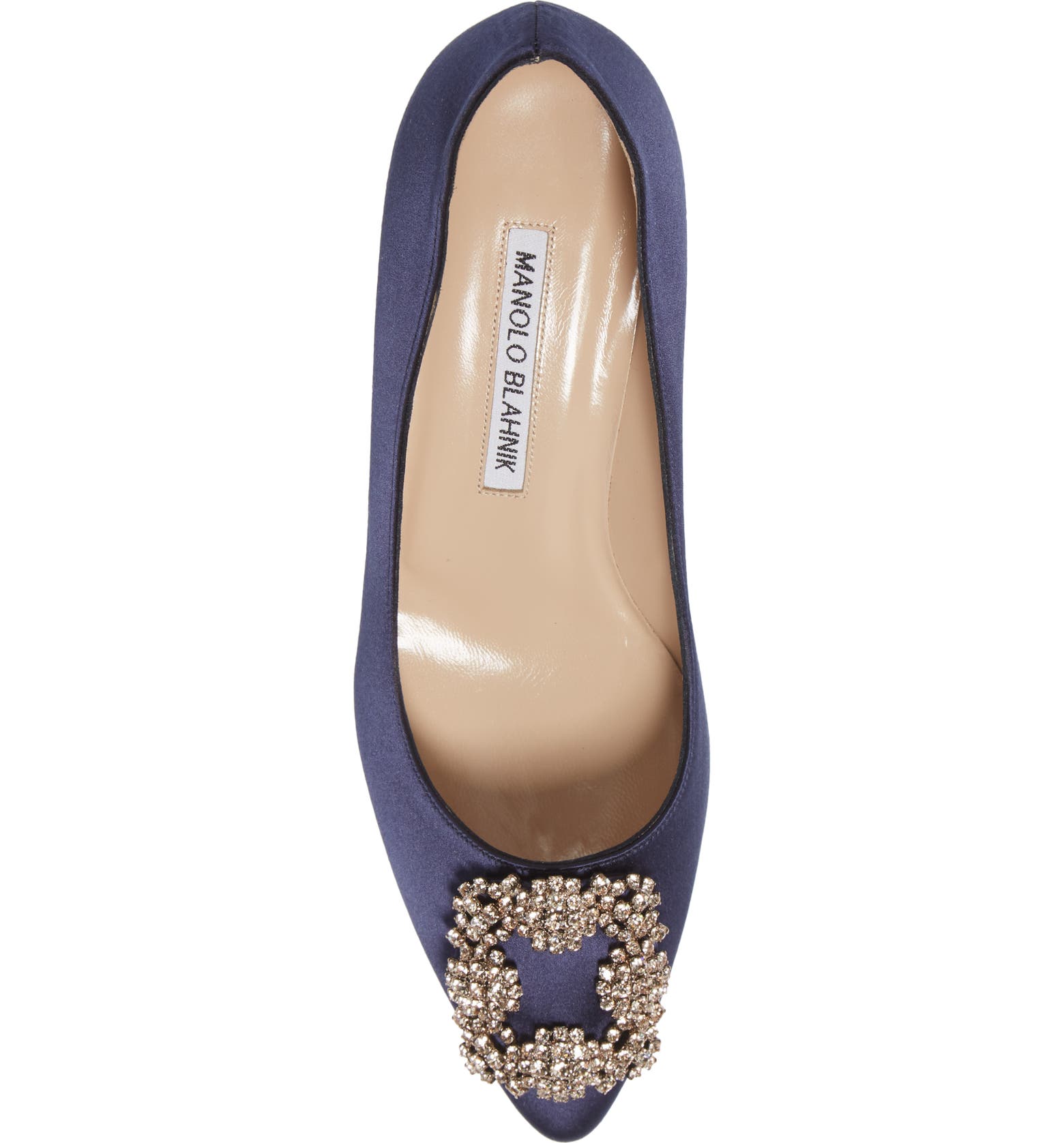 Manolo Blahnik Hangisi Jeweled Pointy Toe Pump (Women) | Nordstrom