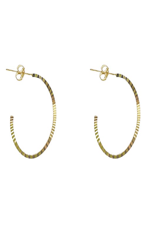 Diamond Cut Oval Hoop Earrings in Gold