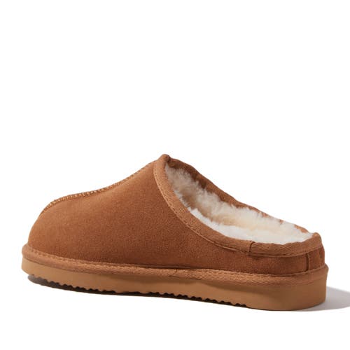 Dearfoams Fireside Greta Genuine Shearling Clog Slipper In Chestnut