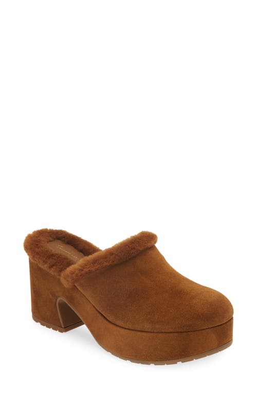 Shop Gianvito Rossi Lyss Genuine Shearling Mule In Texas/texas