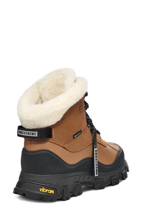 Ugg(r) Adirondack Meridian Waterproof Hiking Boot In Chestnut Brown