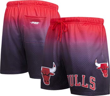 Pro Standard NBA Chicago Bulls Pro Team Ombre Track Pants