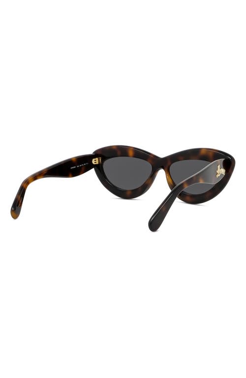 Shop Loewe Curvy 54mm Cat Eye Sunglasses In Dark Havana/smoke