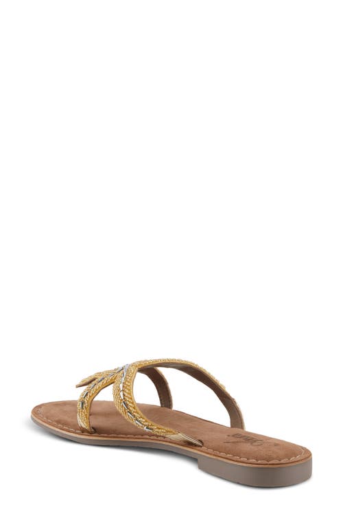 Azura By Spring Step Starry Flip Flop In Gold