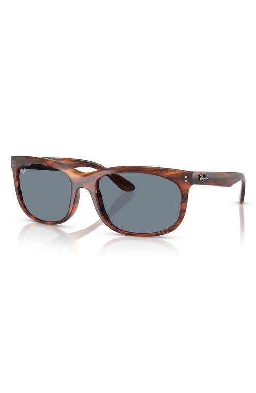 Ray Ban Ray-ban 60mm Pillow Sunglasses In Striped Havana