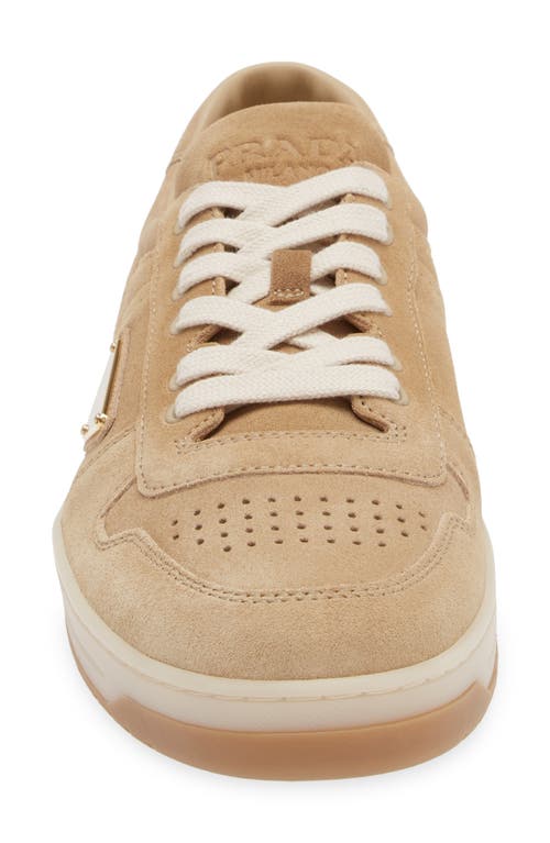 Shop Prada Downtown Sneaker In Ecru