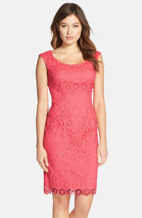 Adrianna Papell Floral Lace Sheath Dress In French Coral