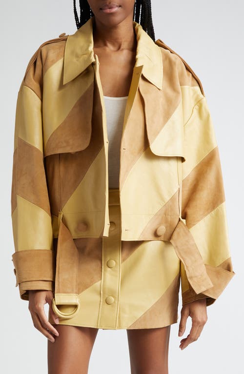Stand Studio Blossom Leather & Suede Panel Moto Jacket Honey at Nordstrom, Us