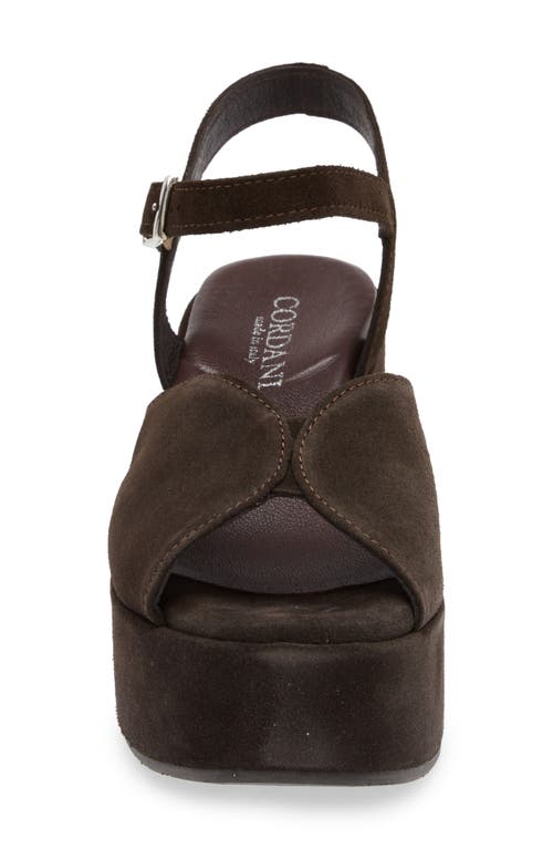 Cordani Jenna Platform Wedge Sandal In Camoscio Cacao