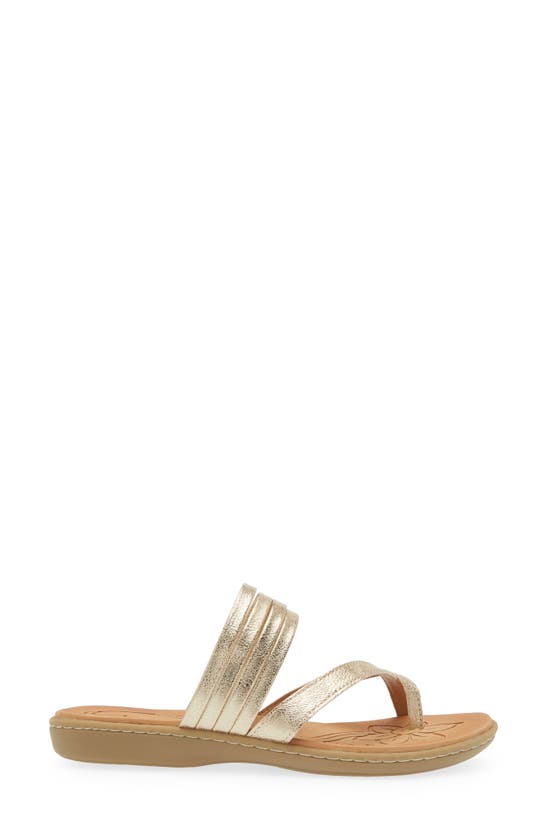 B O C Alisha Toe Loop Sandal In Champagne Metallic
