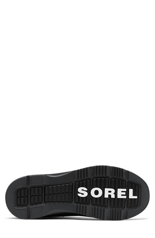 Shop Sorel Ankeny Ii Plus Waterproof Hiking Boot In Black/jet