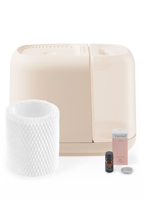 CANOPY Large Room Humidifier Starter Kit in White Tones at Nordstrom