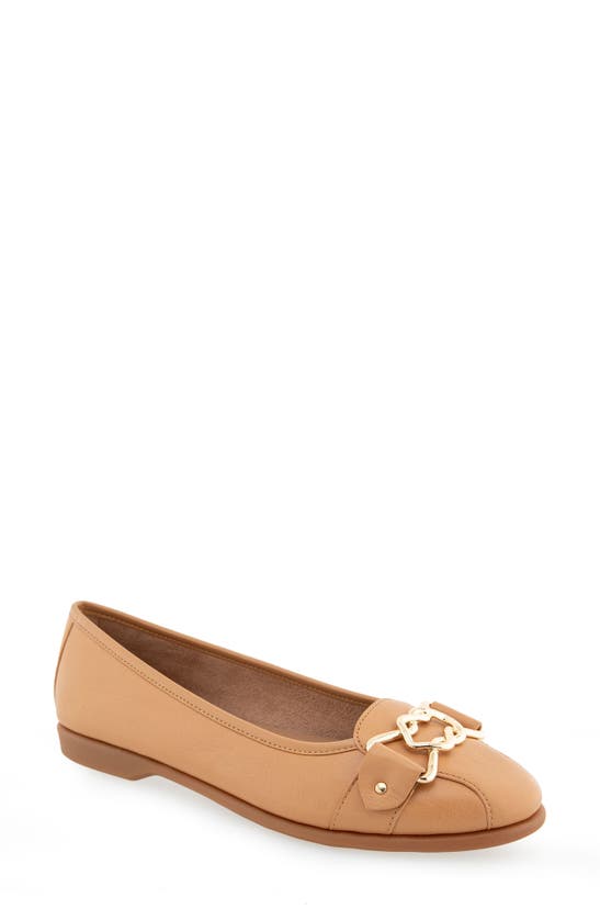 Shop Aerosoles Bia Flat In Doe Leather