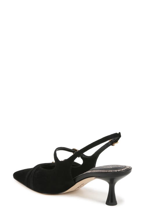 Shop Circus Ny By Sam Edelman Fraya Slingback Pointed Toe Pump In Black Suede