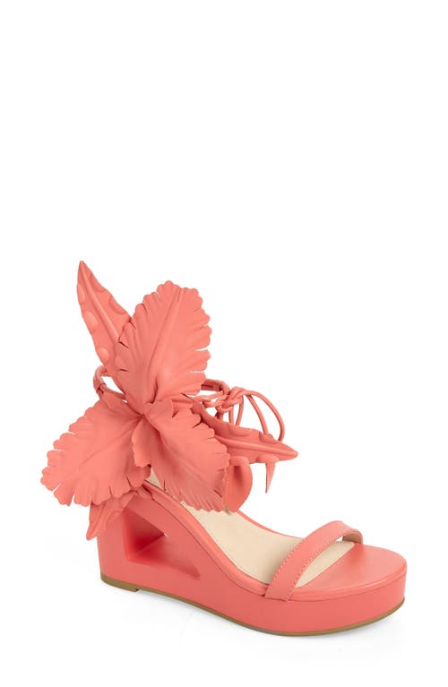 Cecelia New York Lily Cutout Wedge Sandal in Sherbet at Nordstrom, Size 6