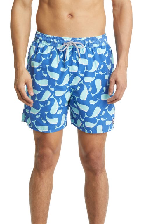 Tom & Teddy Whale Print Swim Trunks Navy Aqua at Nordstrom,