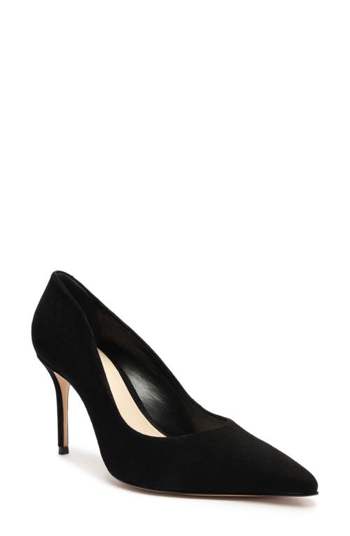 Schutz Lou Lo Pointed Toe Pump Black at Nordstrom,