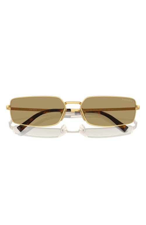 Prada 59mm Rectangular Sunglasses In Gold/olive