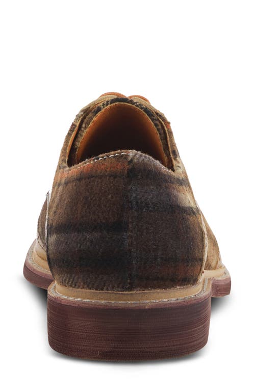 L'artiste By Spring Step Thavo Plaid Derby In Tan Multi