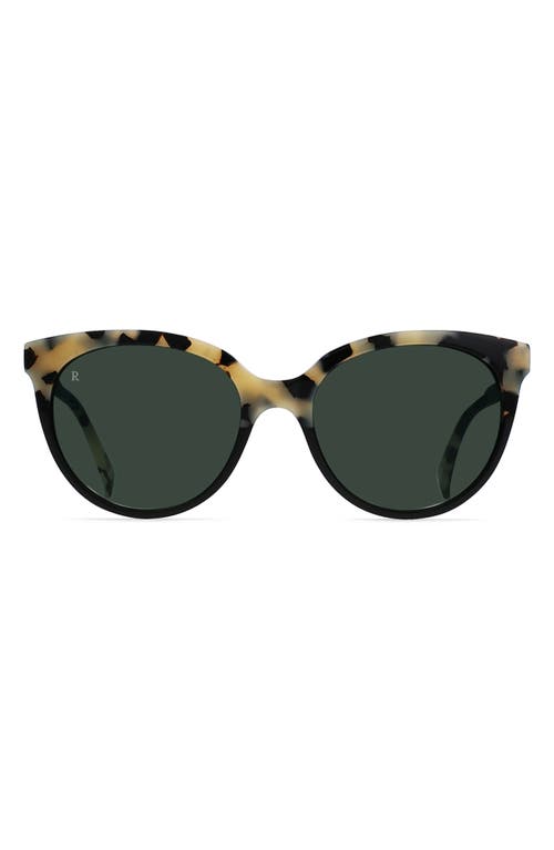RAEN Lily 54mm Cat Eye Sunglasses in Chai/Green
