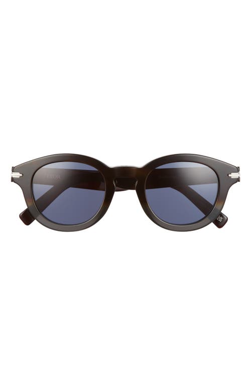 DIOR Blacksuit 48mm Round Sunglasses in Havana /Blue
