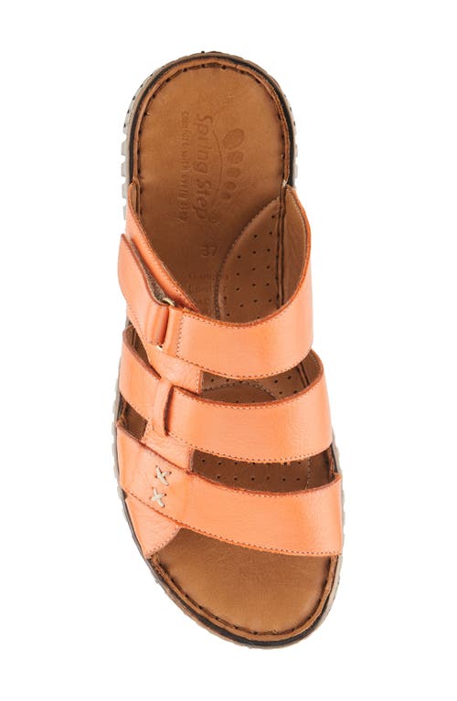 Shop Spring Step Olly Slide Sandal In Coral