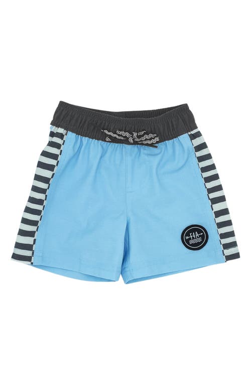 Feather 4 Arrow San O Volley Swim Trunks Crystal Blue at Nordstrom,