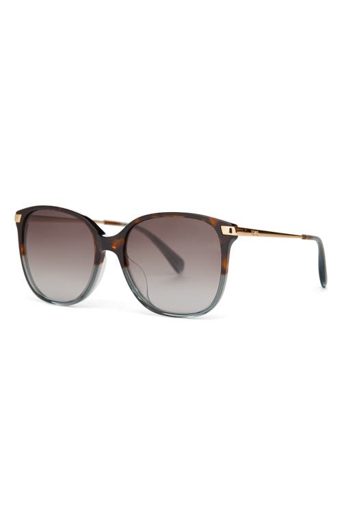 Toms Sandela 55mm Gradient Square Sunglasses In Tortoise Ocean Grey Fade