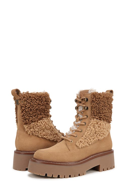 Sam Edelman Elliot Combat Boot Golden Caramel Suede In Golden Caramel Multi