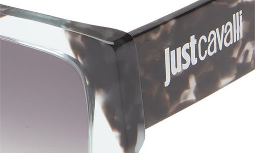 Just Cavalli 53mm Square Sunglasses In Grey Havana Grey Havana Smoke