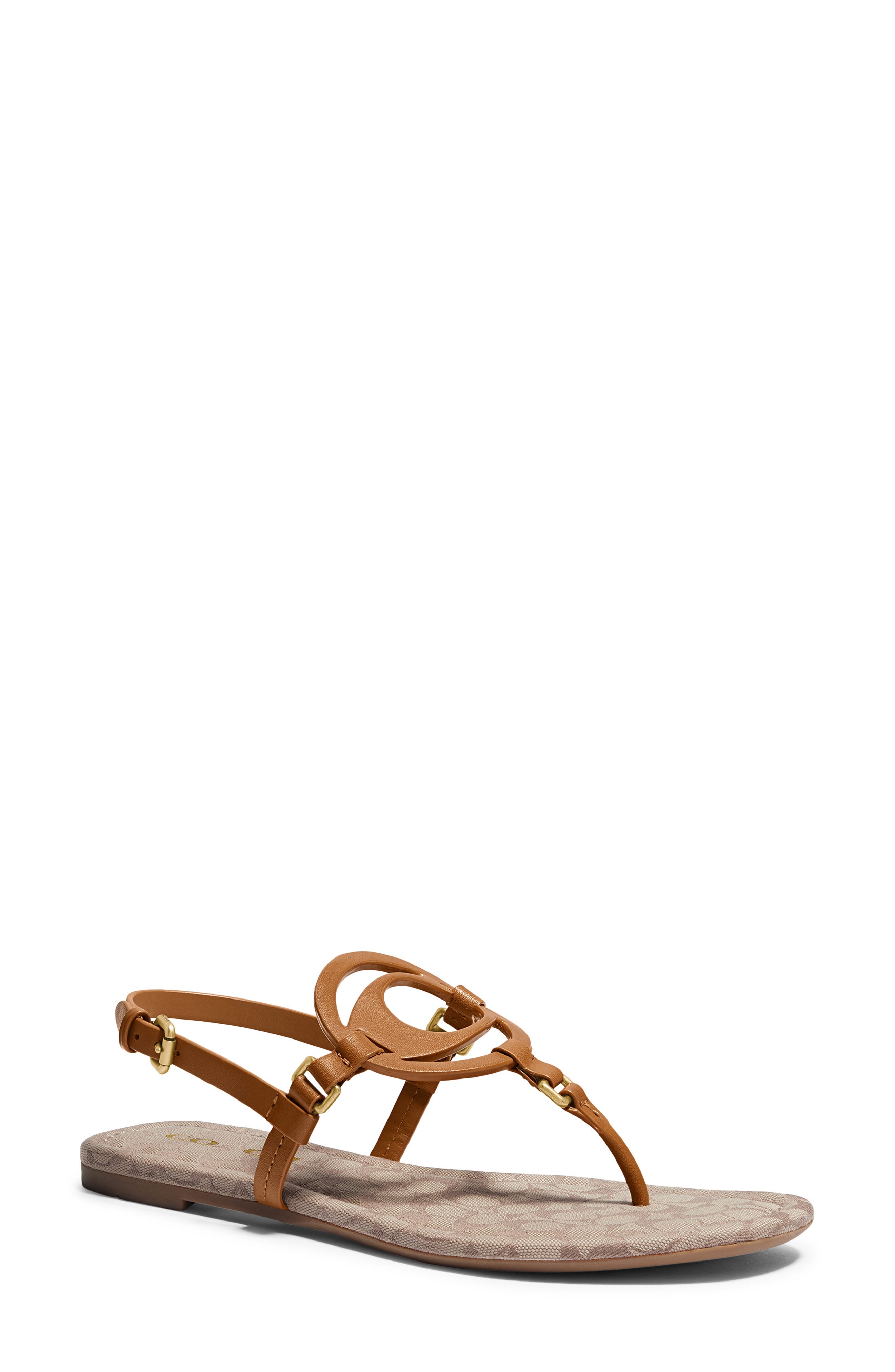 coach jeri leather thong sandals