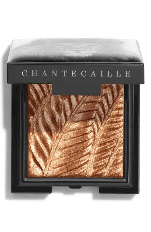 Chantecaille Luminescent Eye Shade Eyeshadow in Lion at Nordstrom