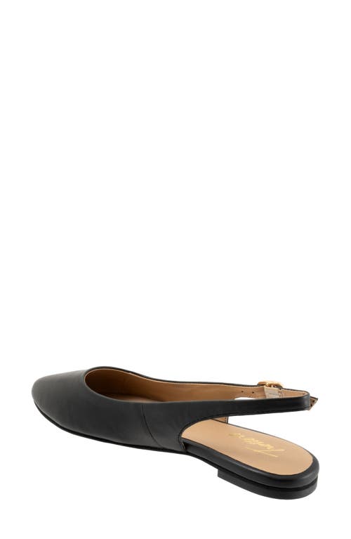 Trotters Evelyn Pointed Toe Slingback Flat In Black
