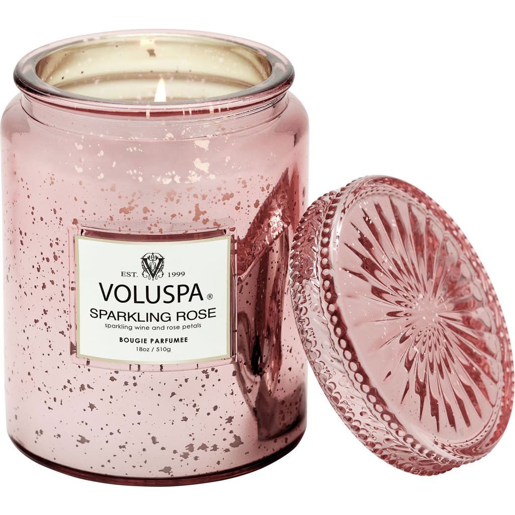 Voluspa Sparkling Rose Large Jar Candle In Sparking Rose