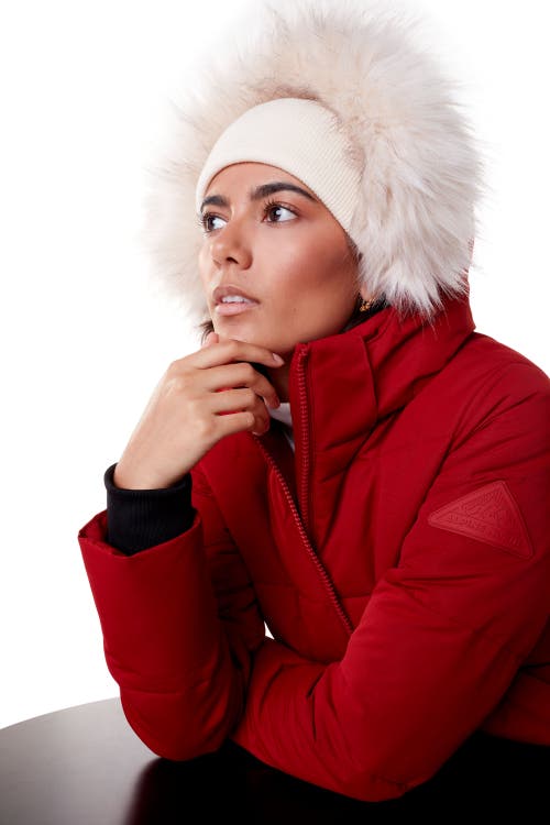 Shop Alpine North Kluane In Red