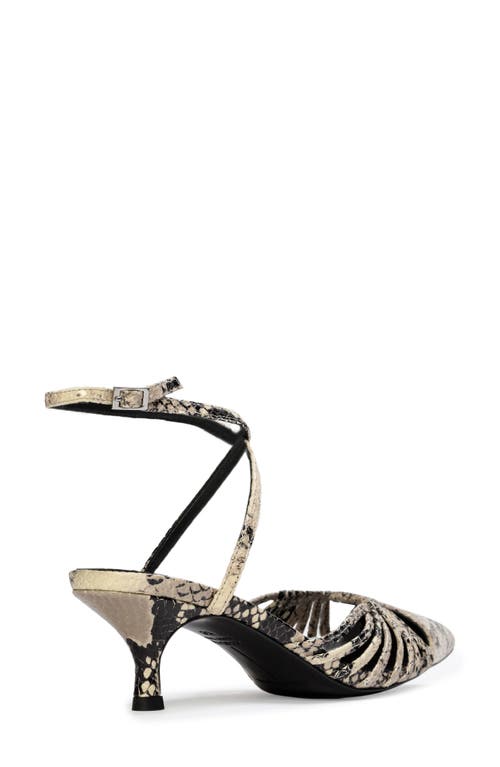 Black Suede Studio Grazia 50 Ankle Strap Pointed Toe Kitten Heel Pump In Peyote Snake