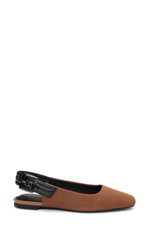 Shop Sanctuary Kitchy Slingback Flat In Bourbon/black