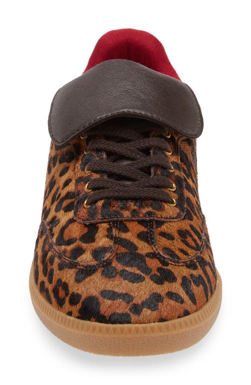 Shop Jeffrey Campbell Dillan Genuine Calf Hair Sneaker In Brown Black Cheetah