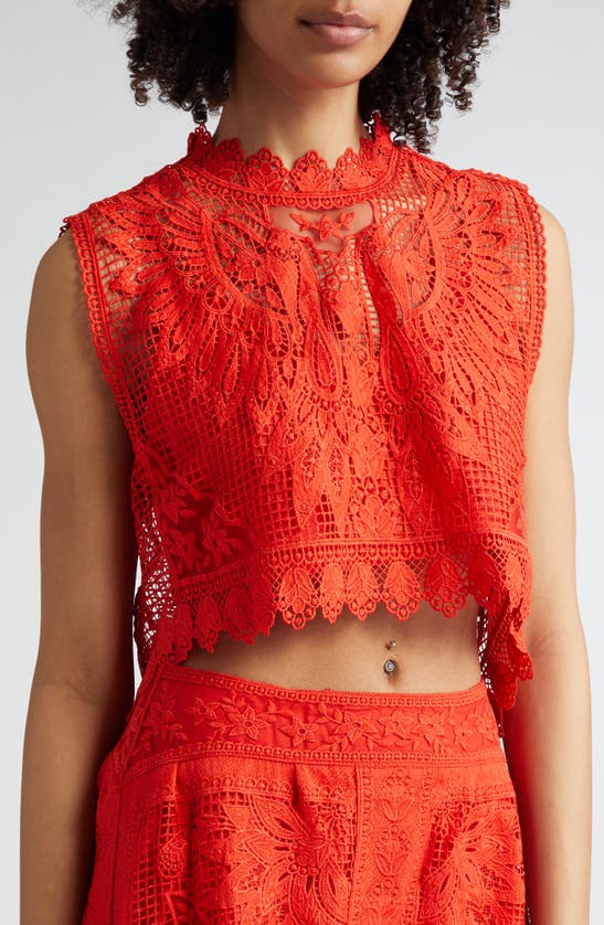 Shop Farm Rio Toucan Guipure Lace Sleeveless Crop Top In Red