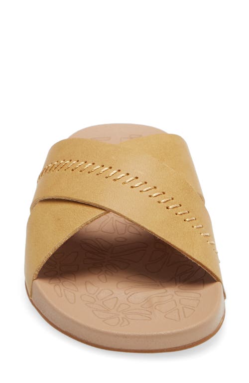 Shop Olukai Kipea Olu Slide Sandal In Golden Harvest/golden Sand