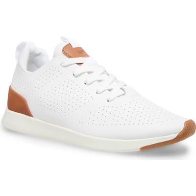 Steve Madden Royale Sneaker, White