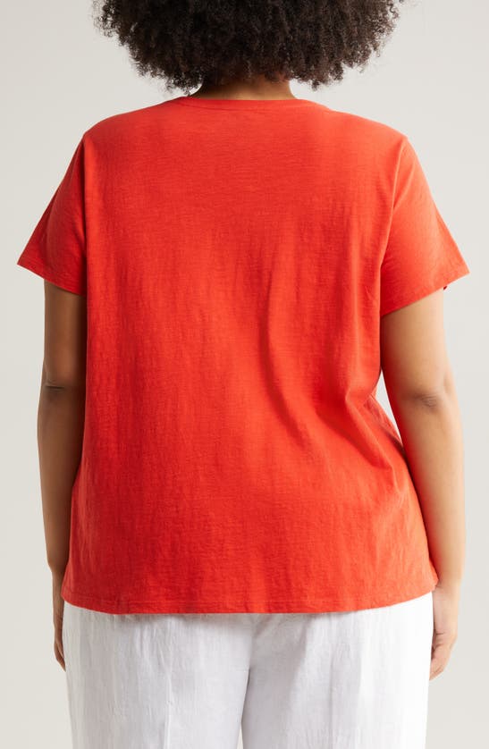Shop Eileen Fisher Crewneck Organic Cotton T-shirt In Flame