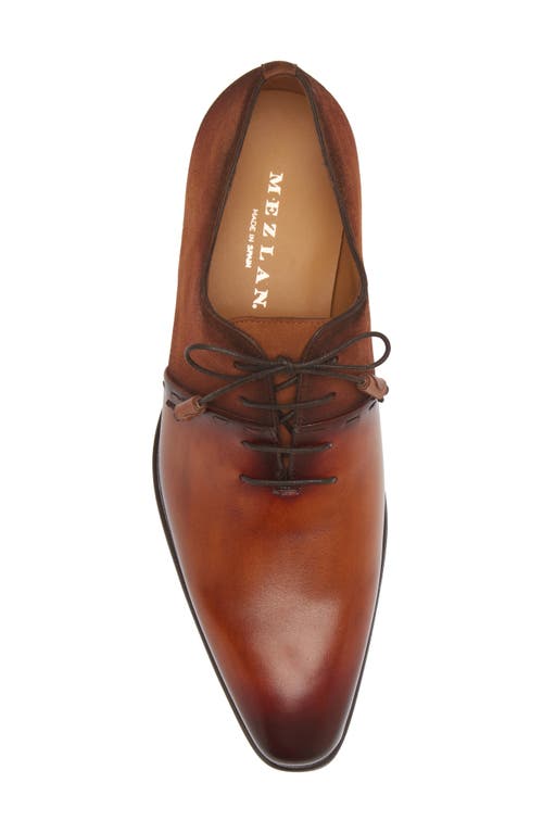 Mezlan Colomer Oxford In Cognac Rust/sport