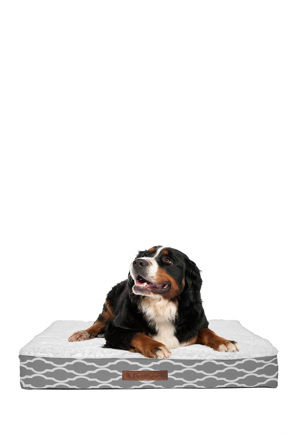 long narrow dog bed