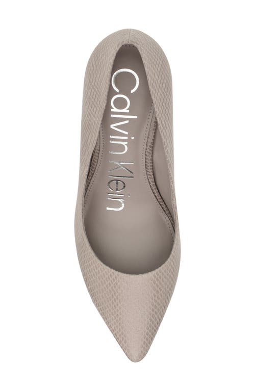 Shop Calvin Klein Gayle Pointed Toe Pump In Tau01