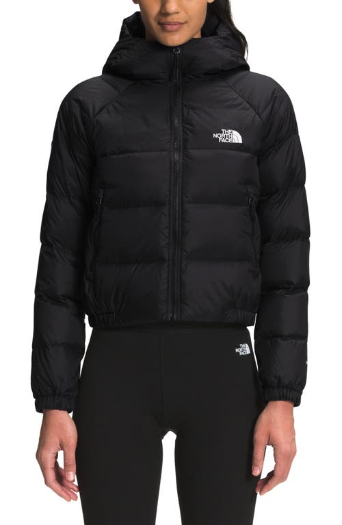 The North Face Hydrenalite Hooded Down Jacket in Tnf Black at Nordstrom, Size X-Large