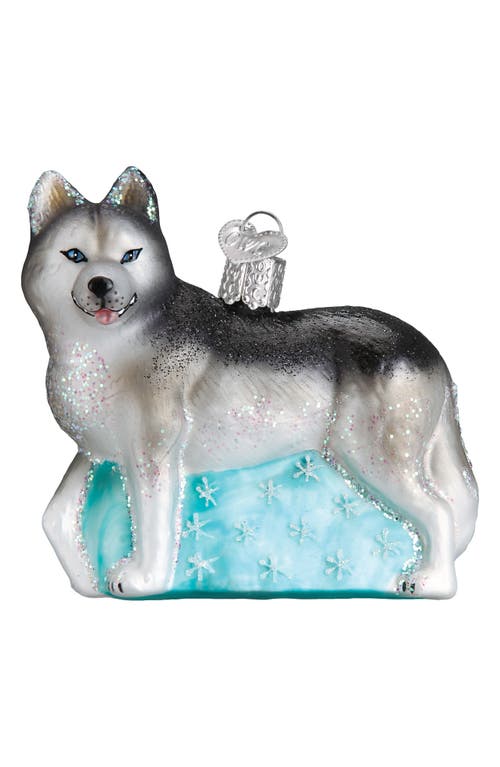 Old World Christmas Siberian Husky Glass Ornament In Black/silver/white