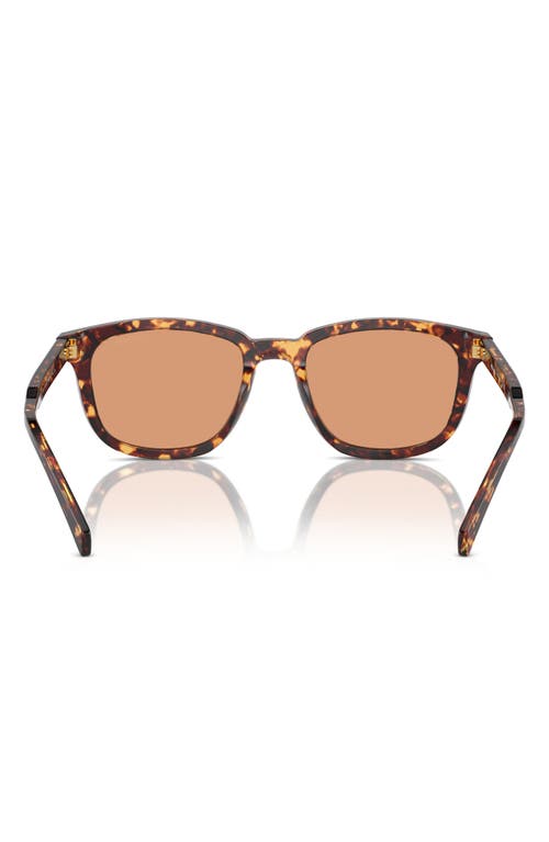 Shop Prada 53mm Pillow Sunglasses In Havana/orange