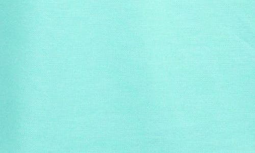 Tailorbyrd Solid Polo In Spearmint