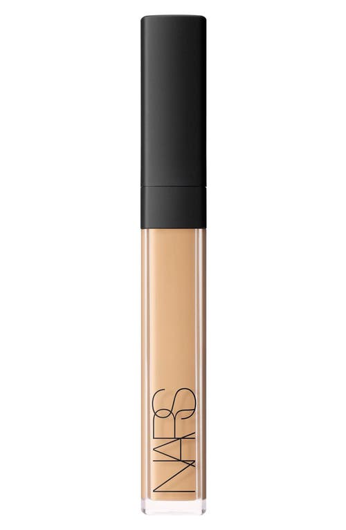 UPC 607845012672 product image for NARS Radiant Creamy Concealer in Cannelle at Nordstrom, Size 0.22 Oz | upcitemdb.com